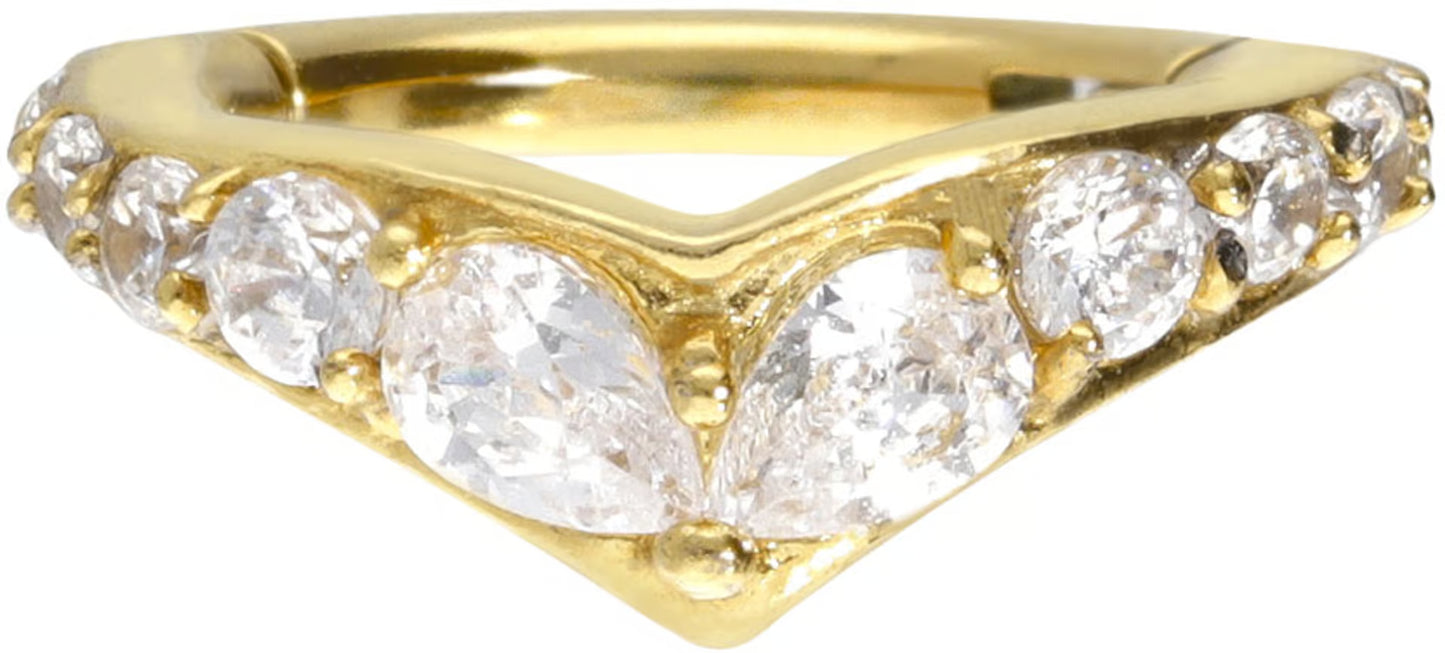 Surgical steel segment ring clicker DIADEM
