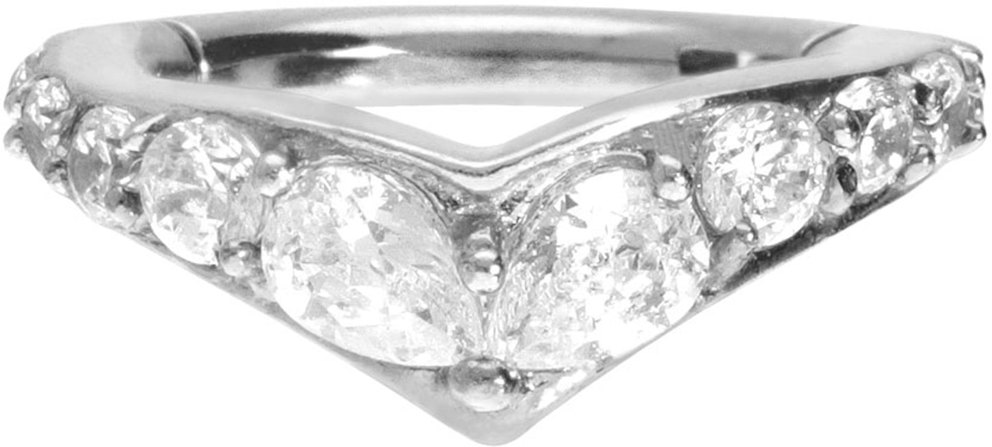 Surgical steel segment ring clicker DIADEM