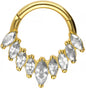 Titanium segment ring clicker 9 SETTED CRYSTALS